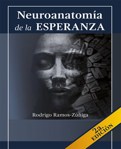 neuroanatomia.jpg