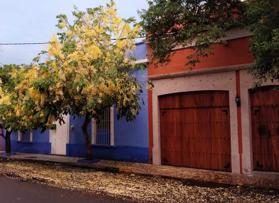 Fachada Casa
